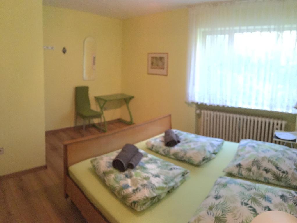 Large Wuerzburg Apartment Kültér fotó
